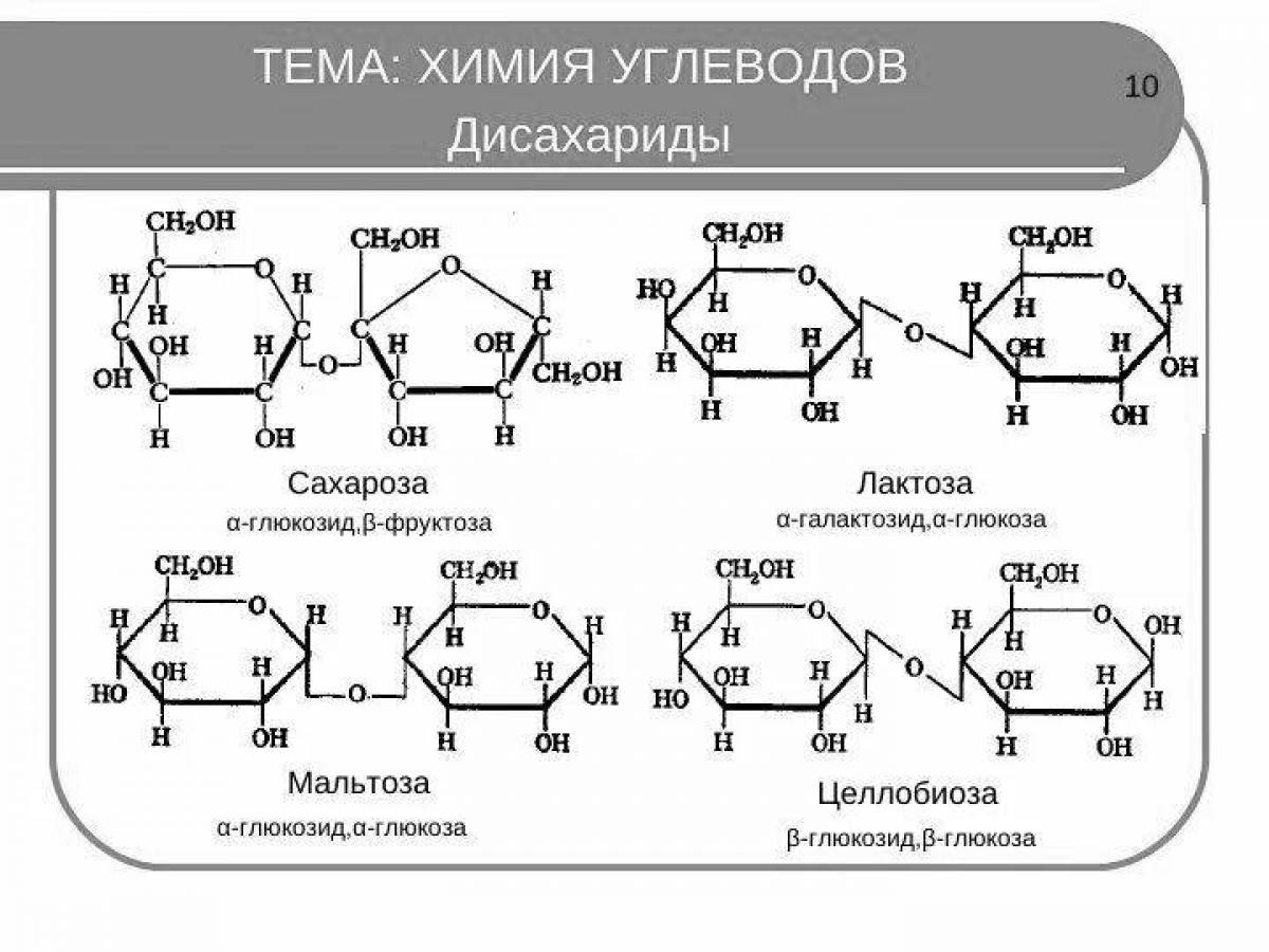 Раскраска magical genshin sucrose