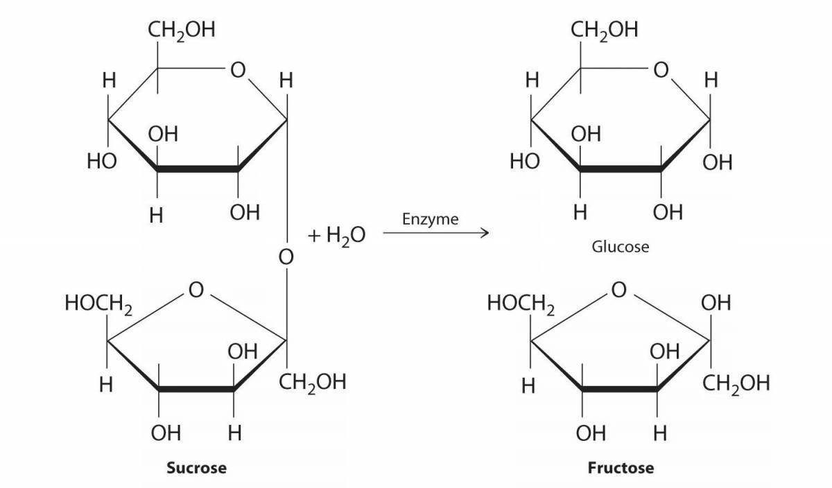 Гидролиз с образованием Глюкозы и фруктозы