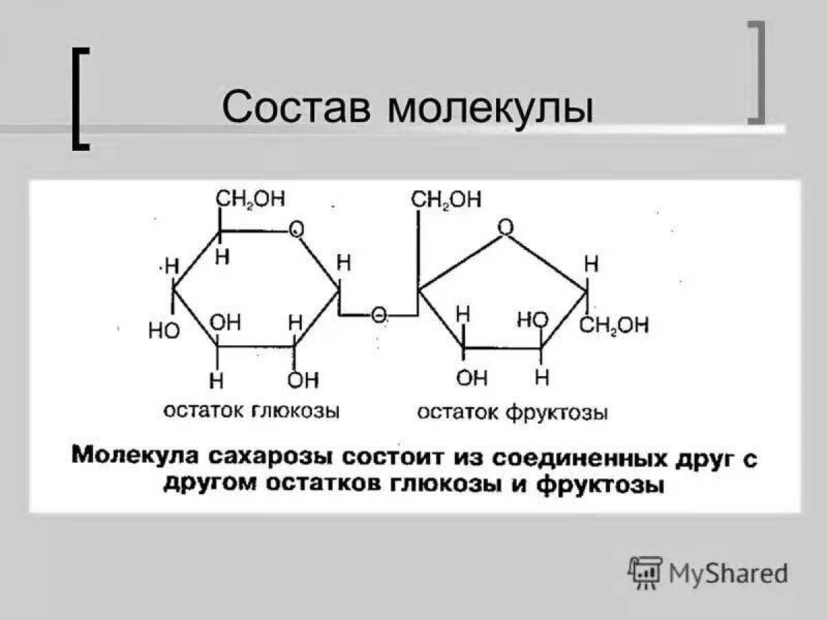 Раскраска lovely genshin sucrose
