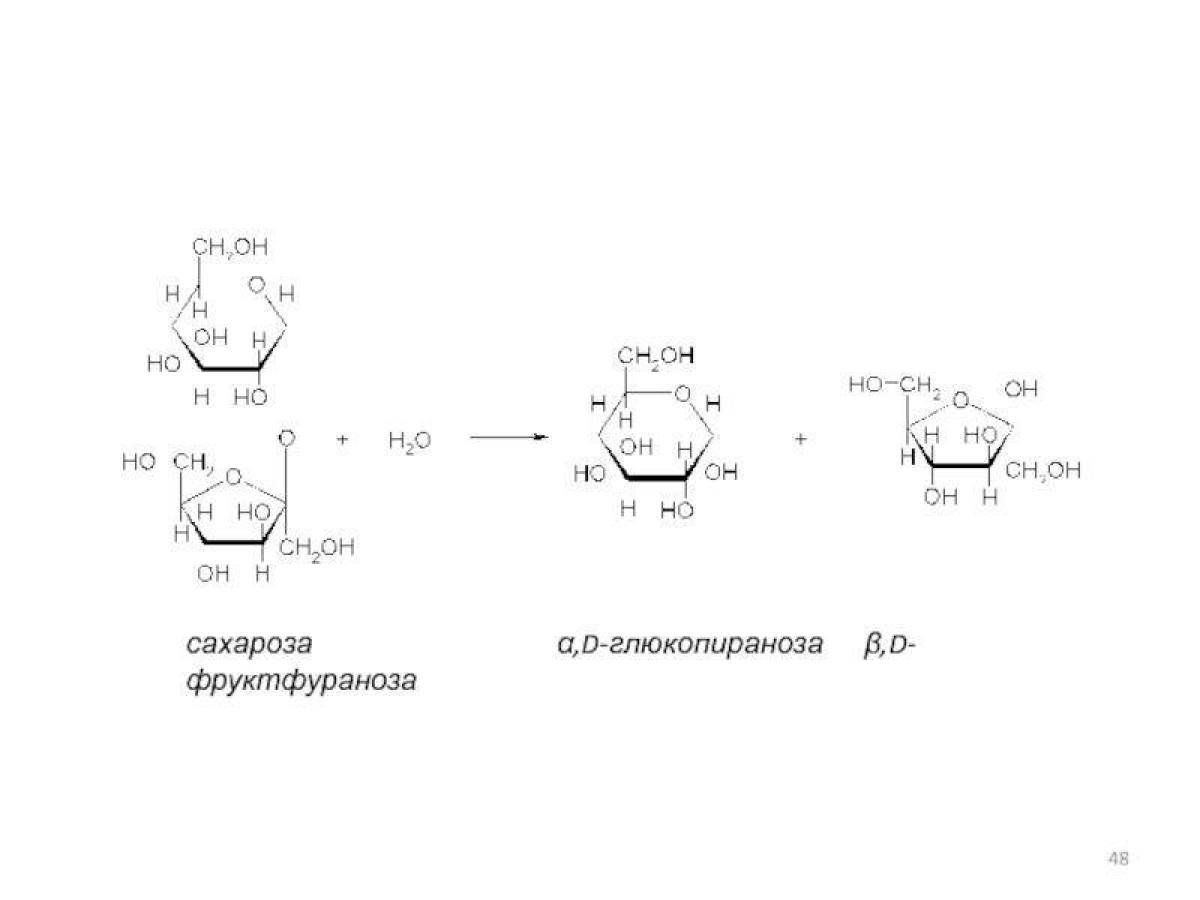 Схема реакции гидролиза сахарозы