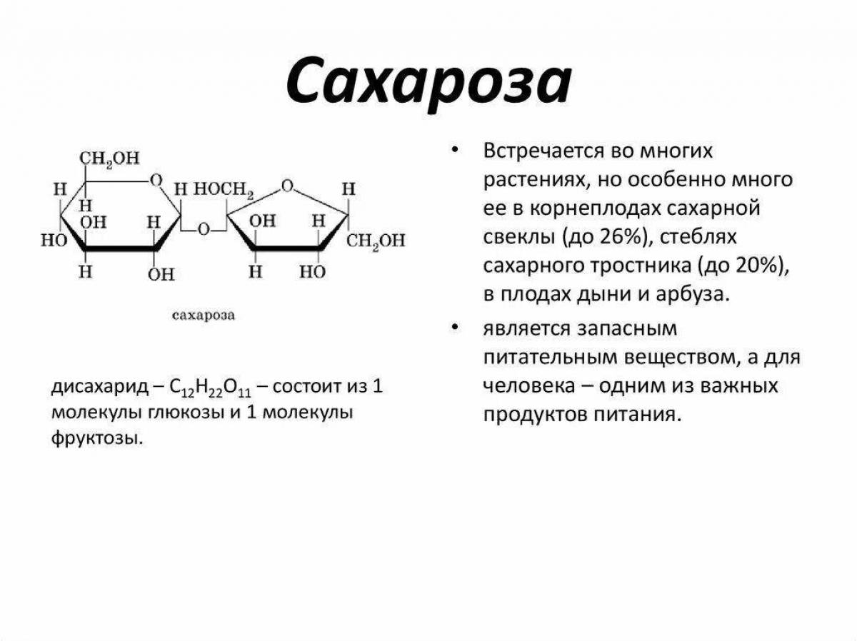 Картинки сахароза из геншин