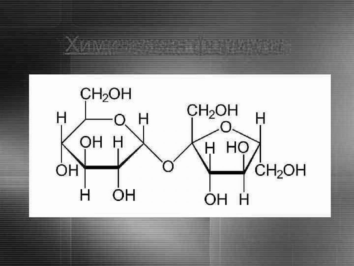 Раскраска vivacious genshin sucrose