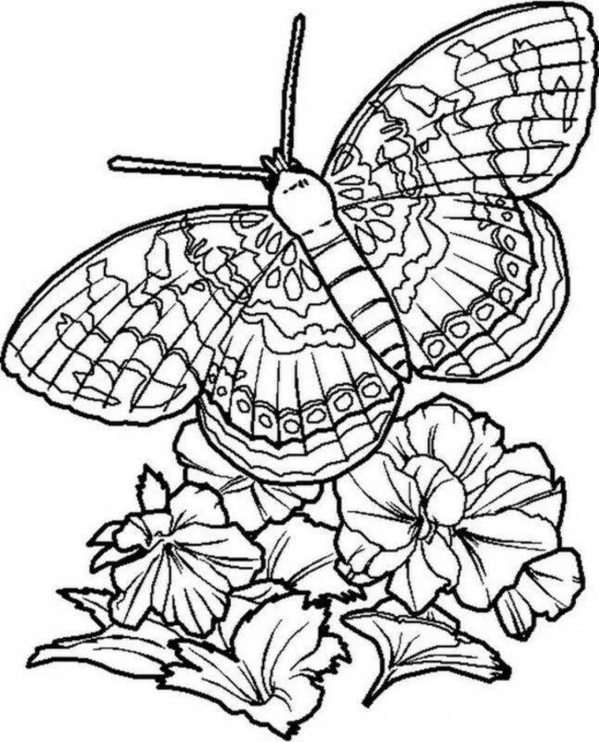 Раскраска насекомые бабочка