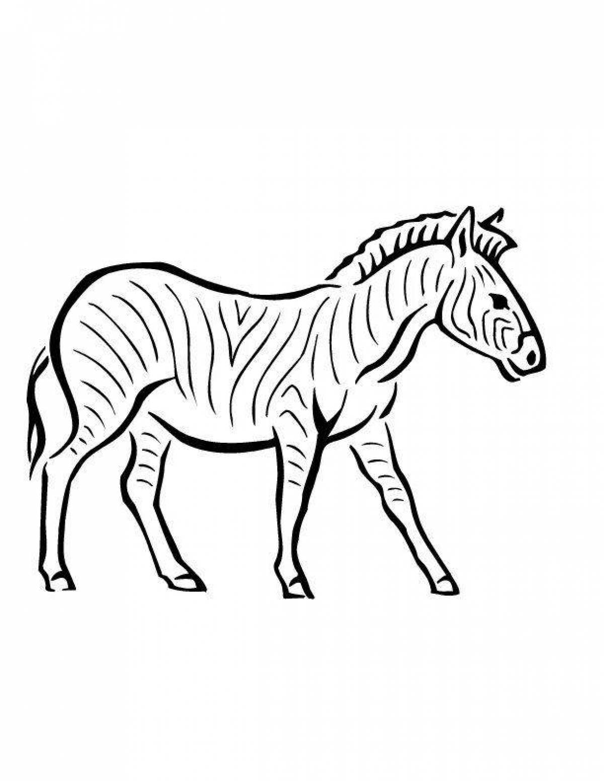 Зебра контурный рисунок