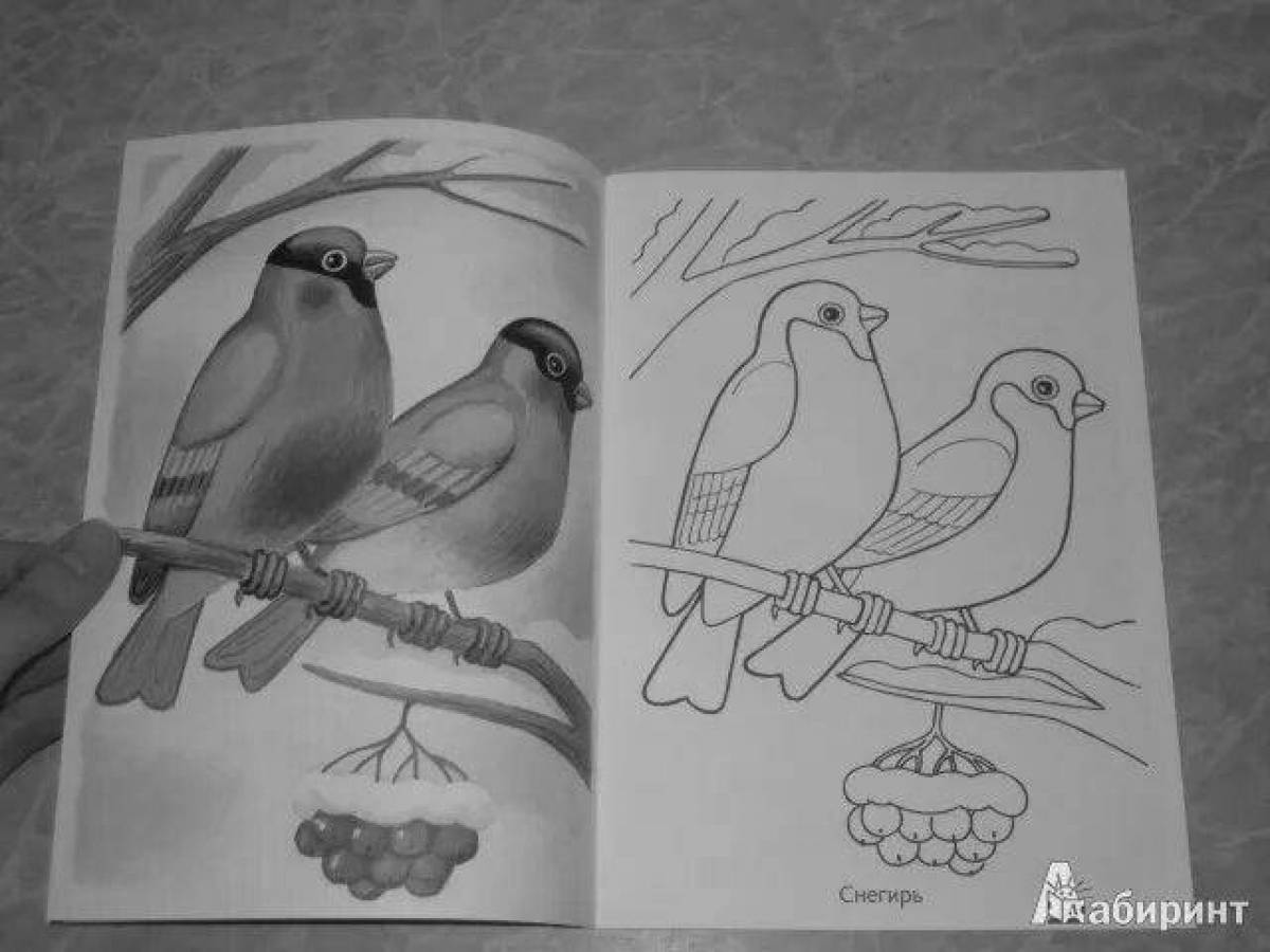Рисование 3-4 года зимующие птицы