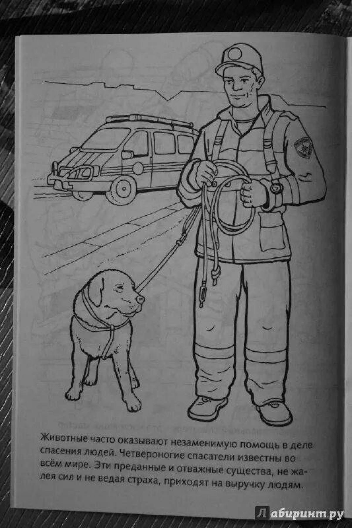 Fat coloring who protects us