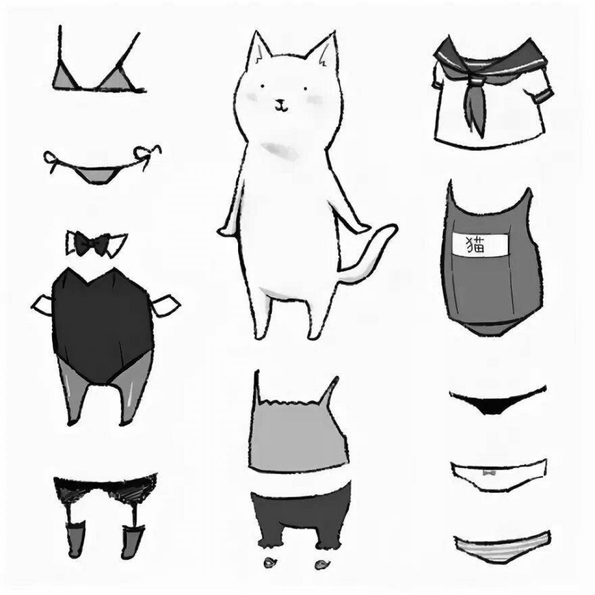 Witty cat with clothes