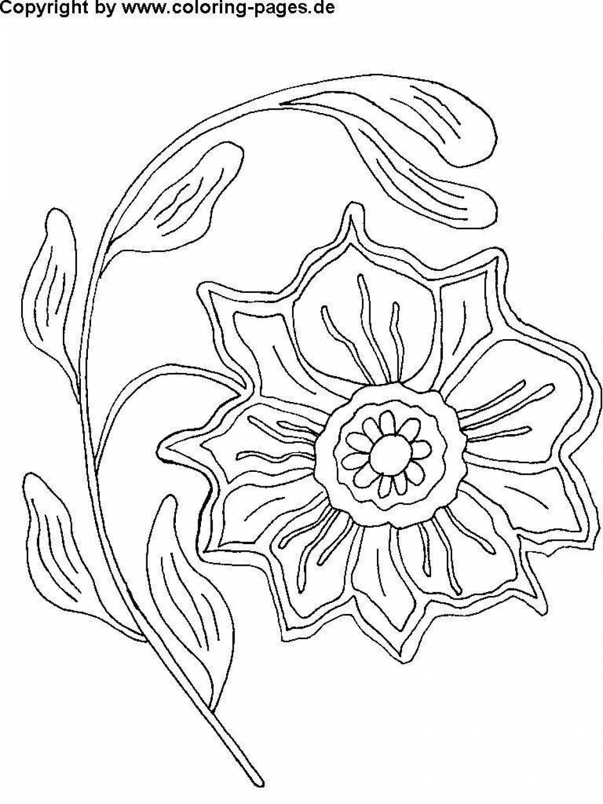 Coloring book shiny scarlet flower