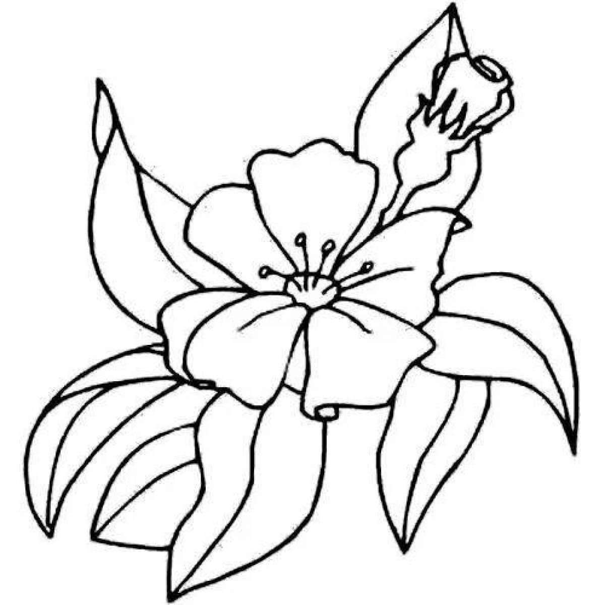 Coloring book glowing scarlet flower