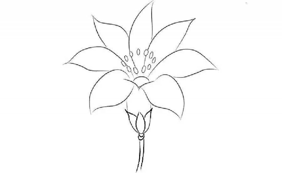 Раскраска Яркая страница раскраски алого цветка