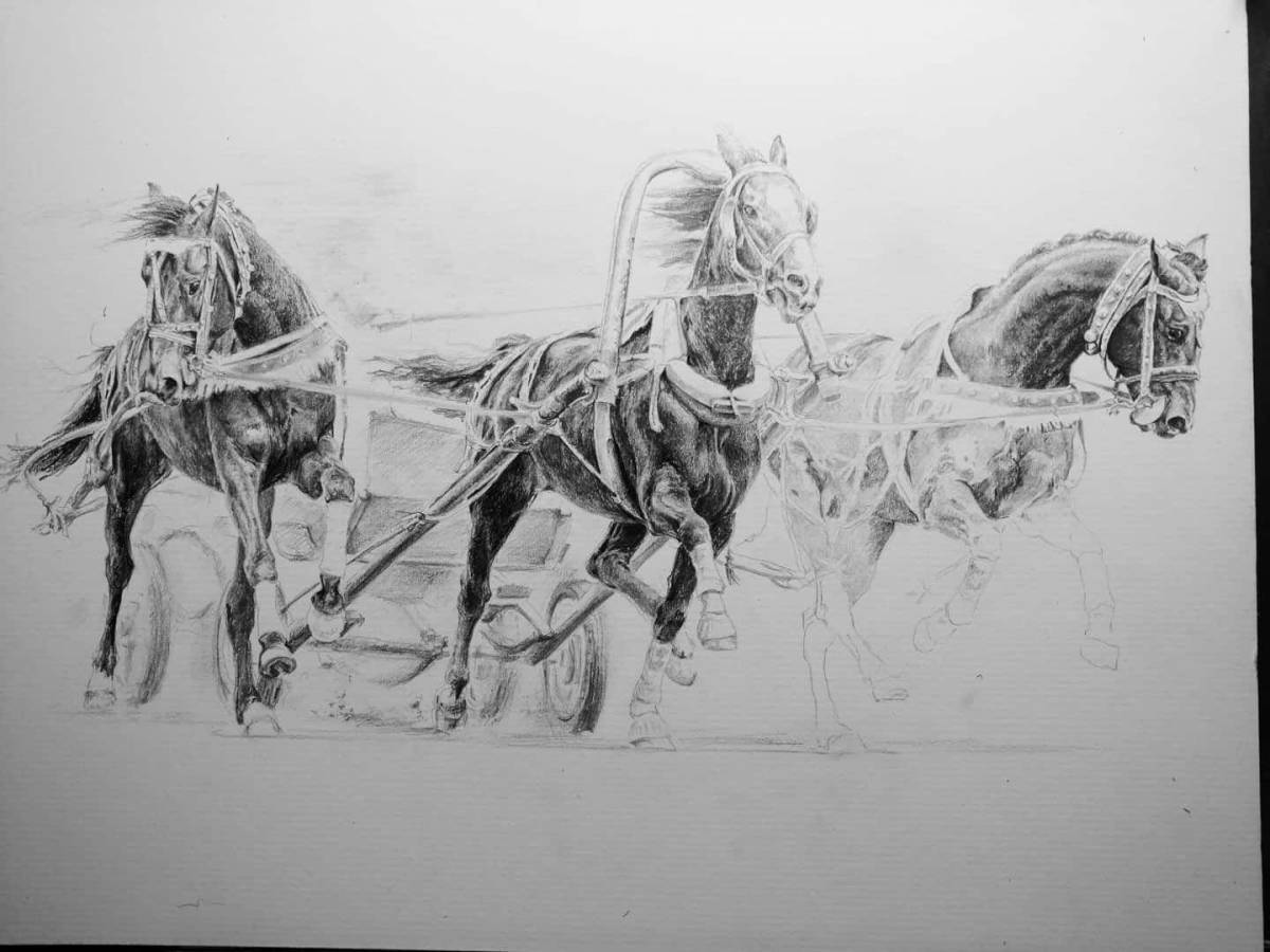 Раскраска три белых коня