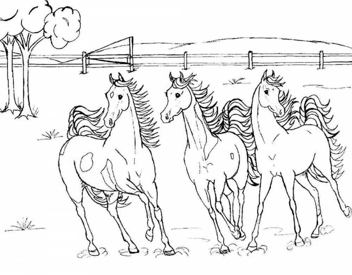 Three white horses shining coloring page