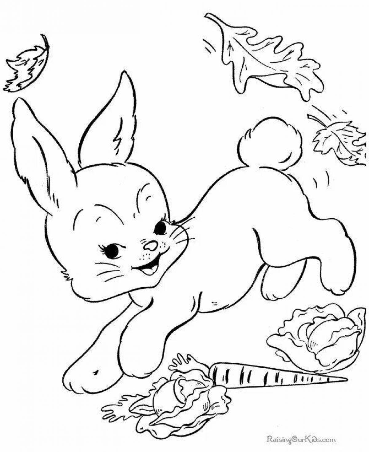 Charming coloring cat and hare