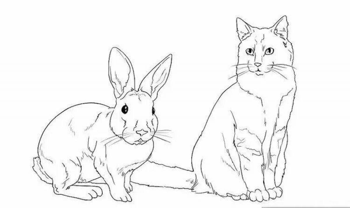 кот и заяц раскраска