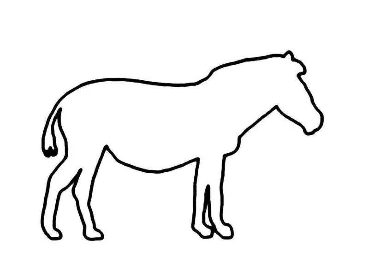 Elegant zebra without stripes