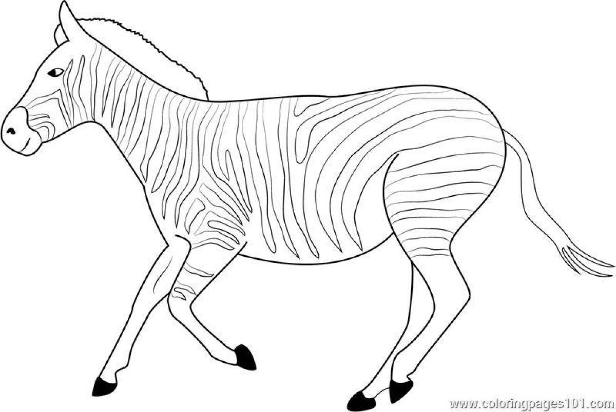 Славная зебра без полос