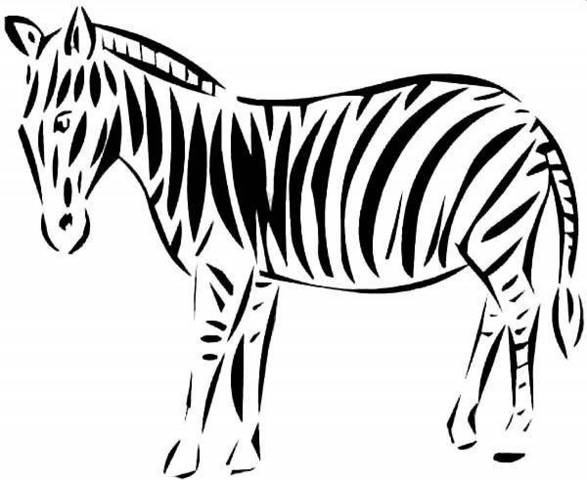 Adorable zebra without stripes