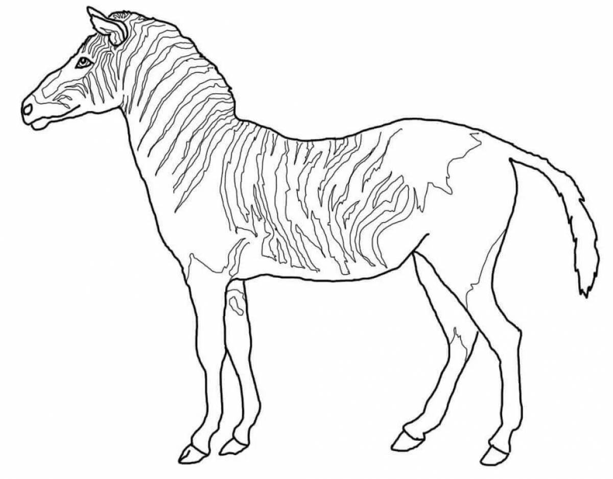 Симпатичная зебра без полосок