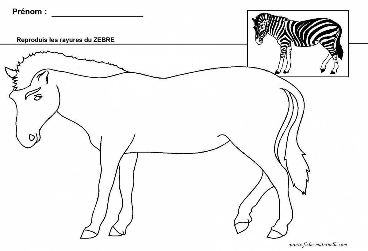 Attractive zebra without stripes