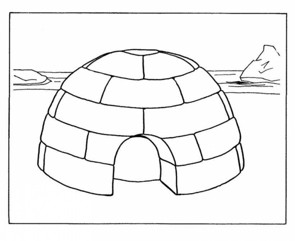 Great igloo coloring book for teens