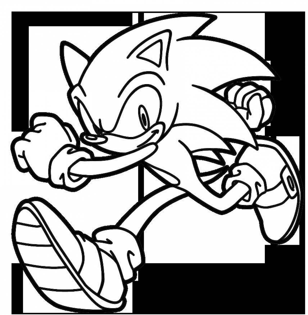 Exquisite sonic shadow coloring book