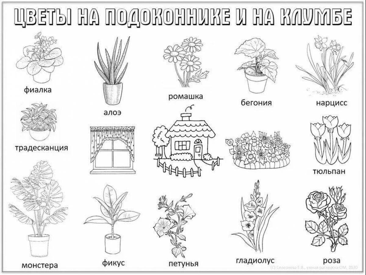 Playful houseplant care coloring page