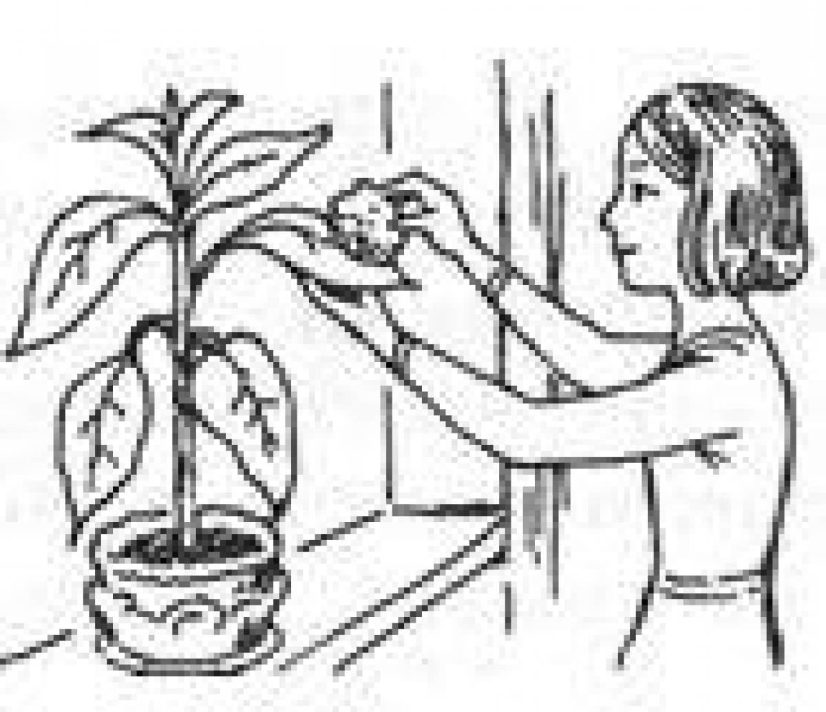 Fun coloring book for houseplant care