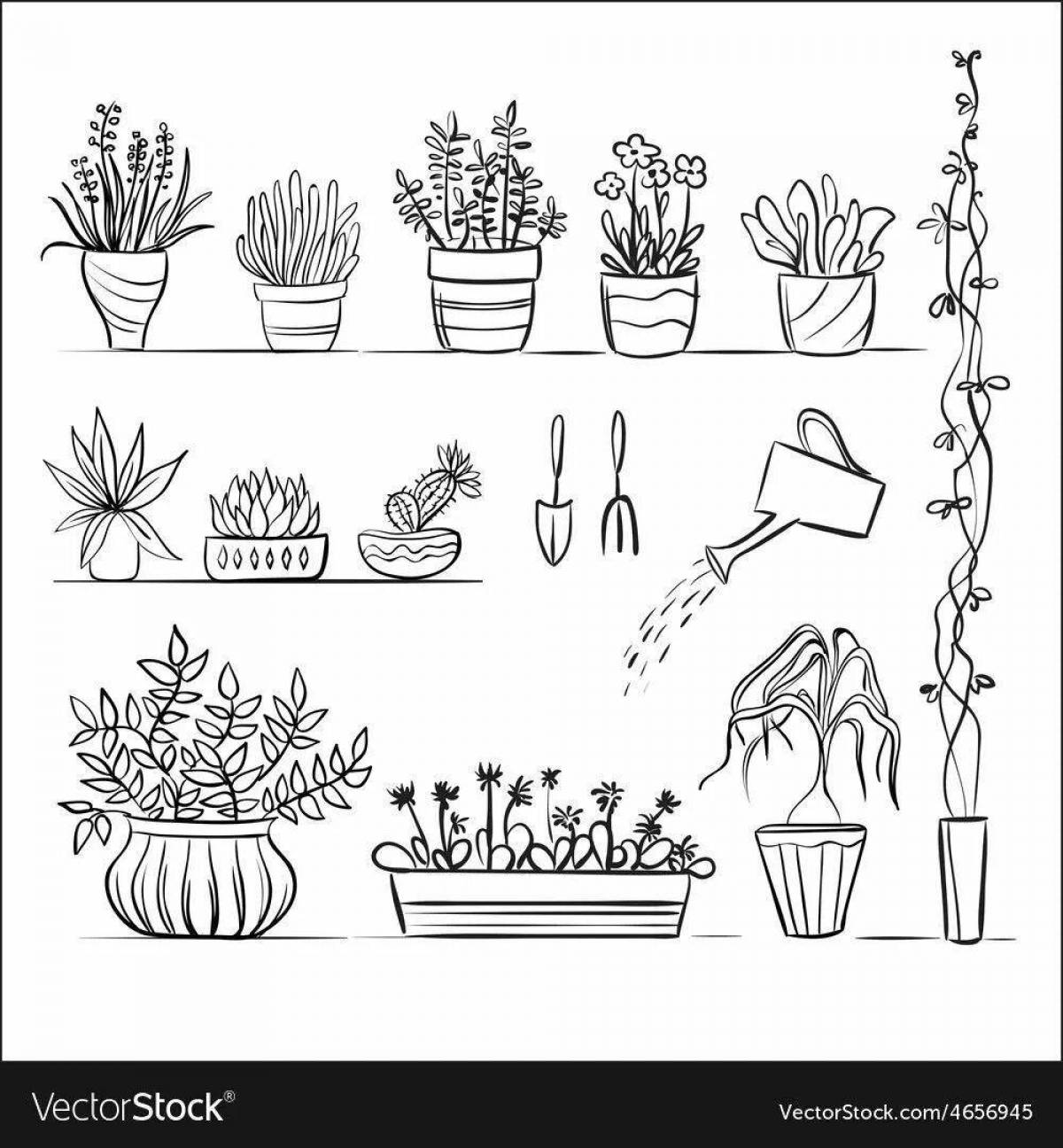 Coloring page funny houseplant care
