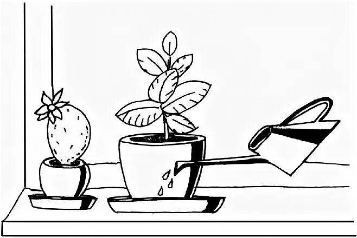 Creative houseplant care coloring page