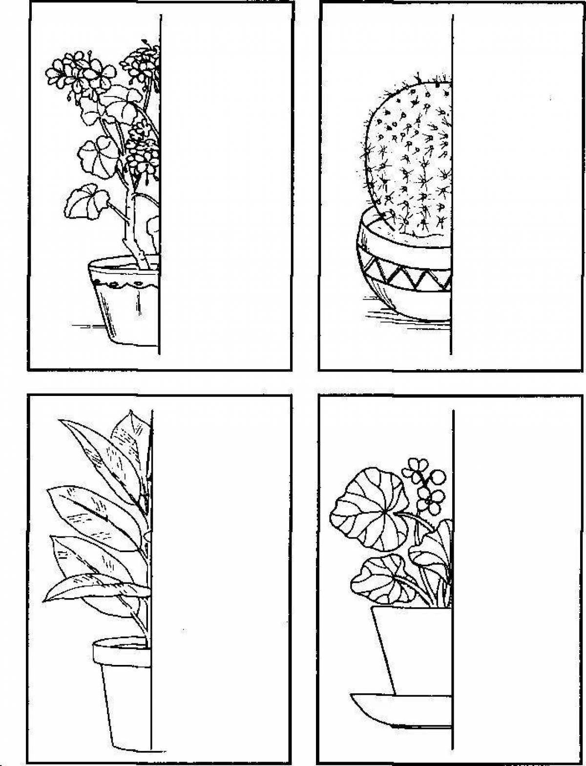 Smart houseplant care coloring page