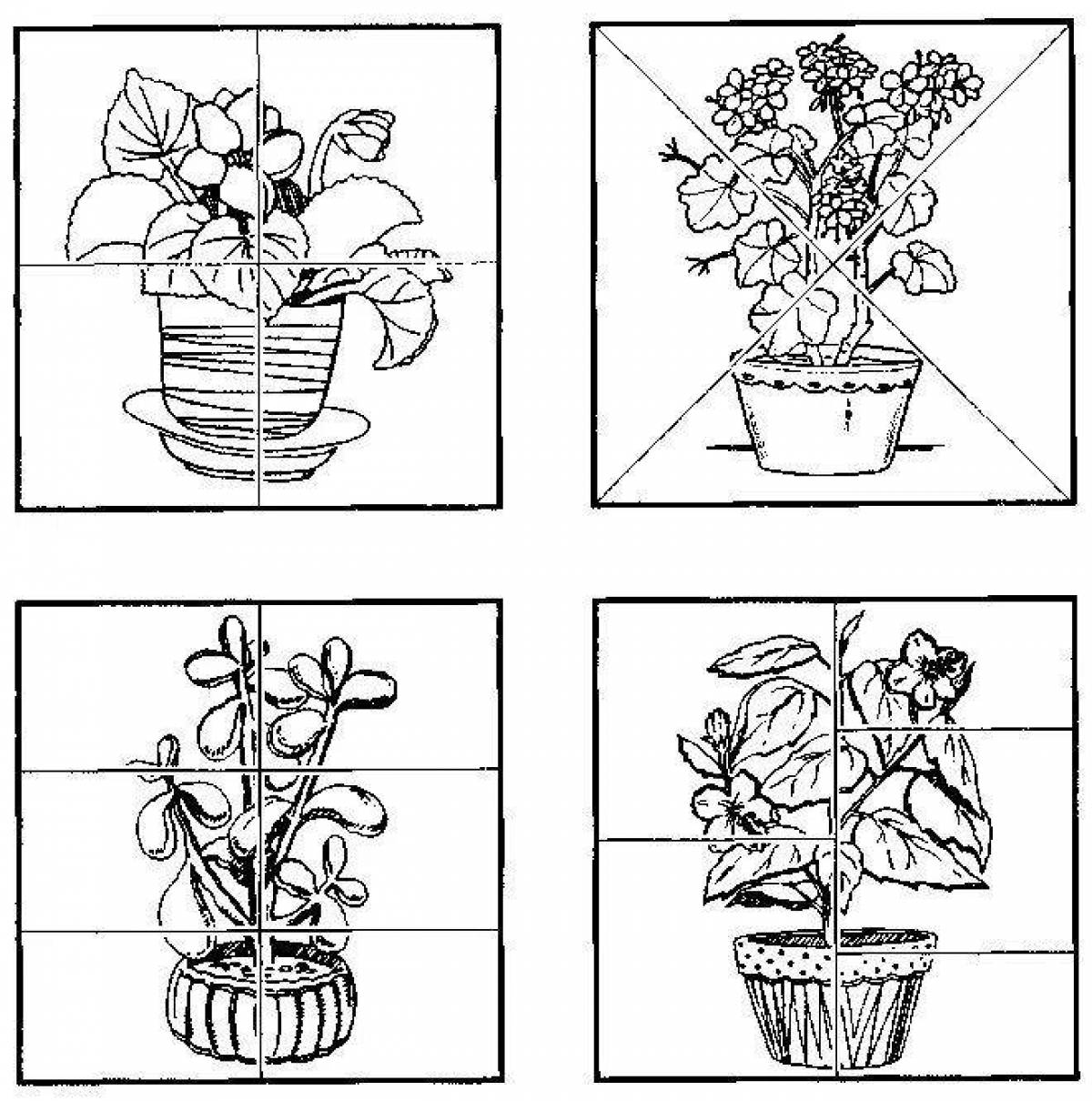 Information coloring page for houseplant care