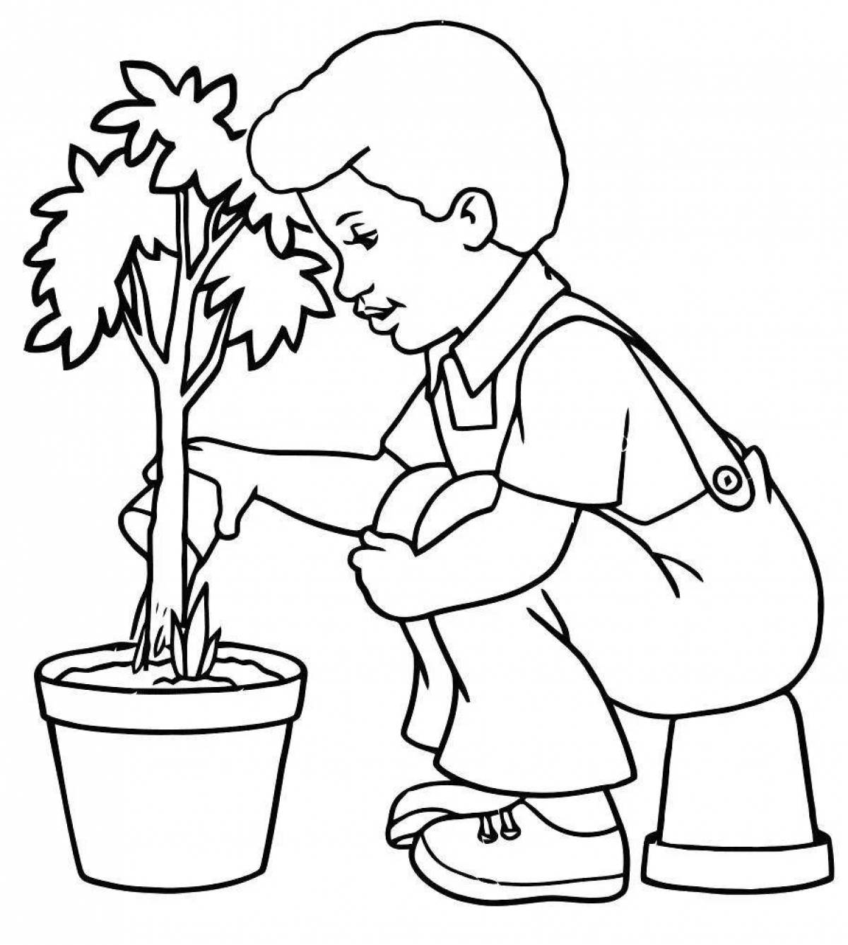 Careful houseplants coloring page
