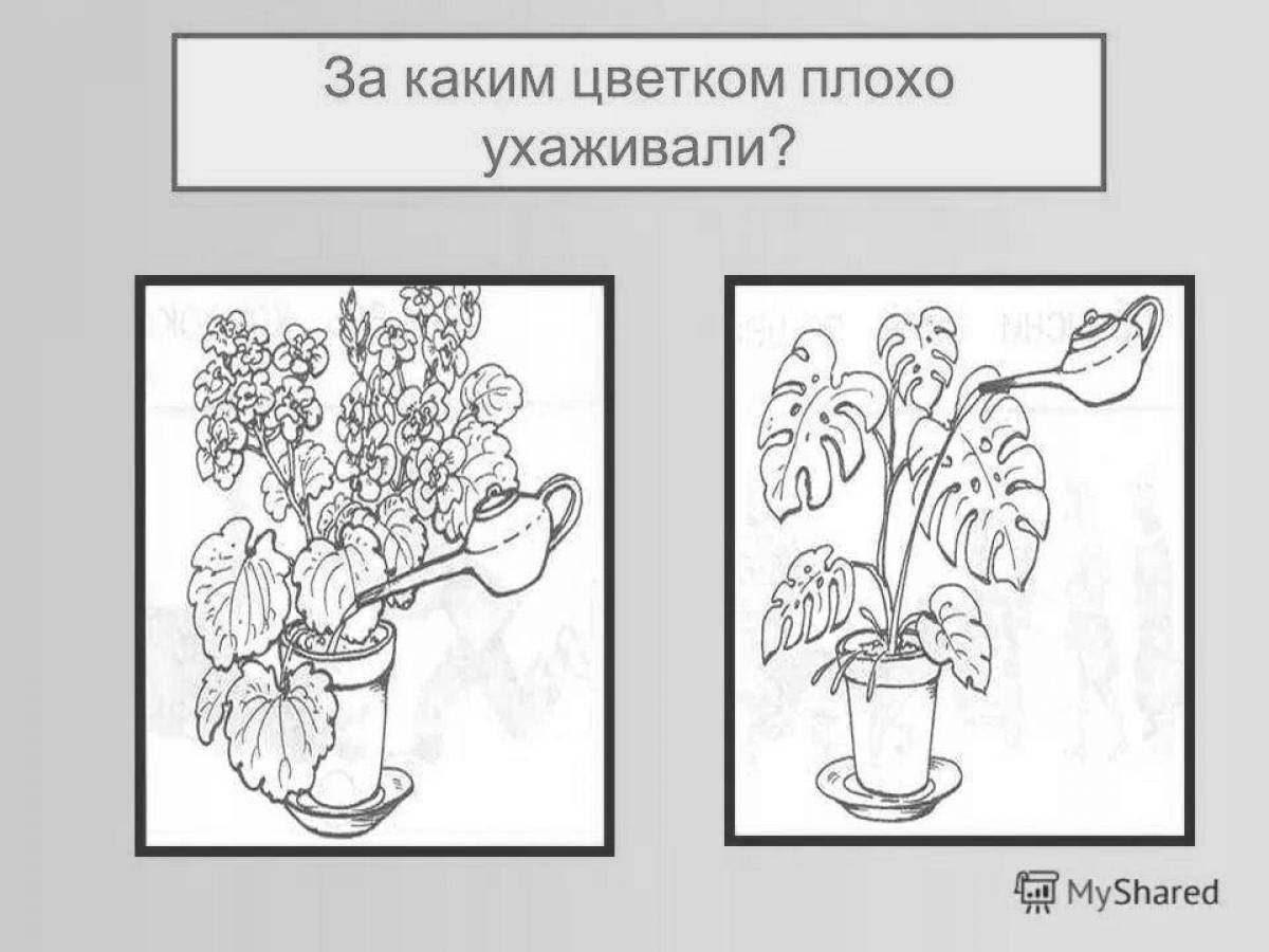 Coloring page neat houseplant care