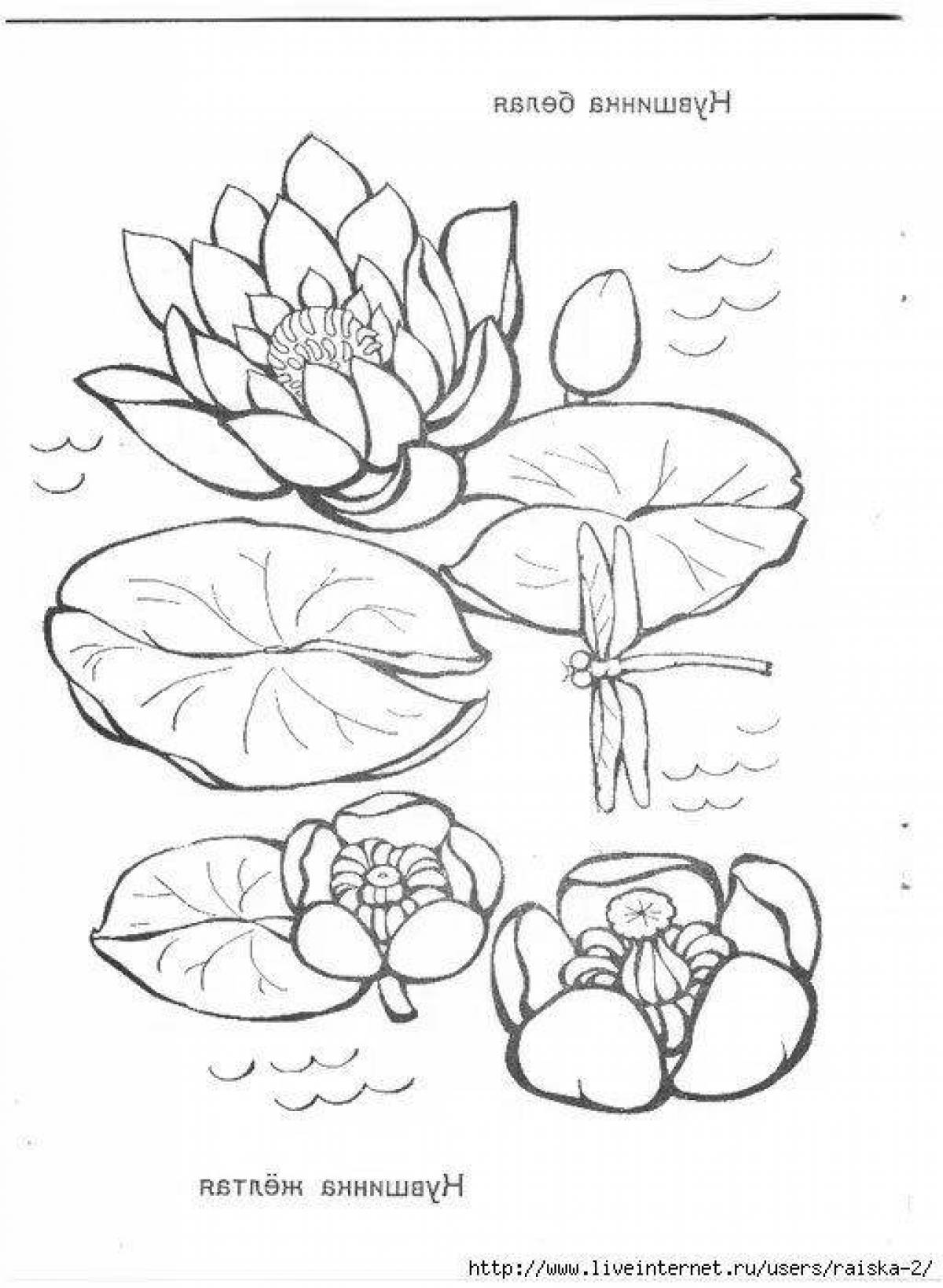 Coloring page majestic plants of the red book of russia
