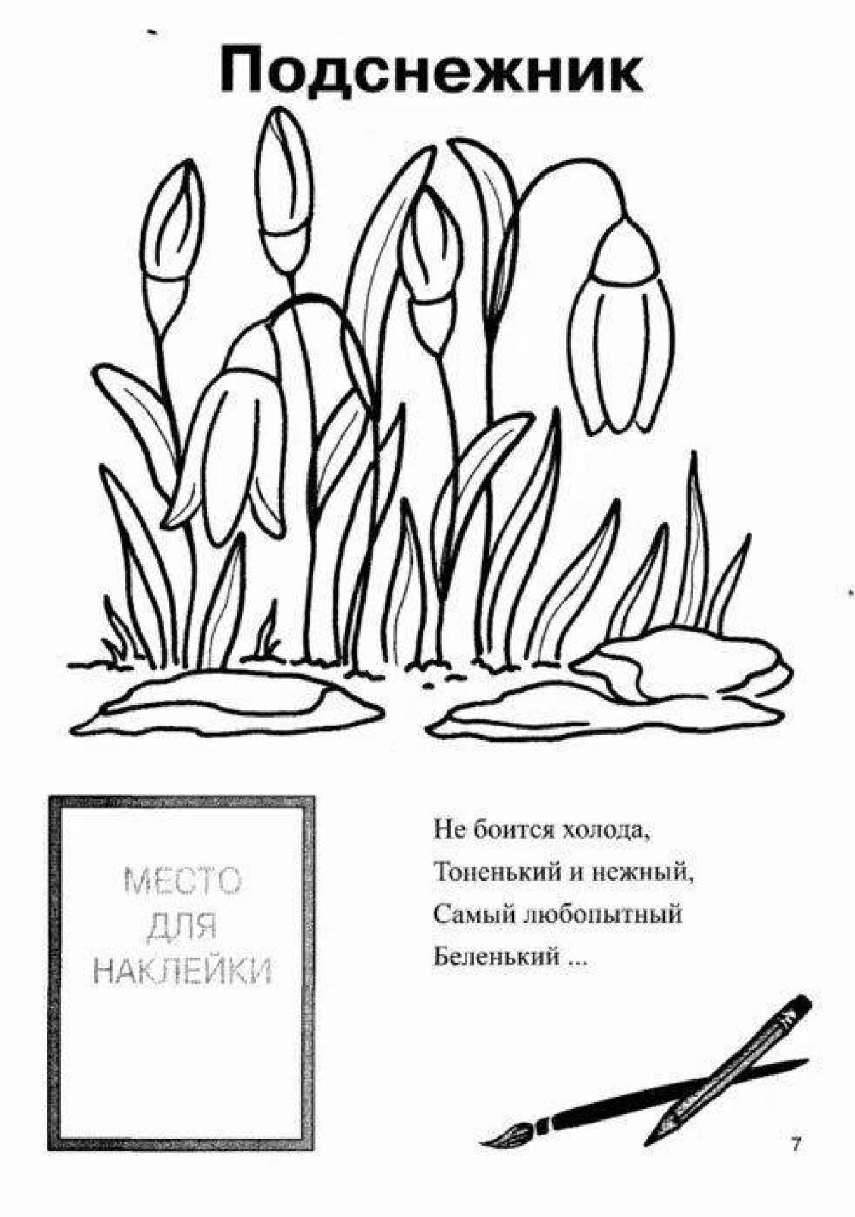 Charming coloring plant of the red book of russia