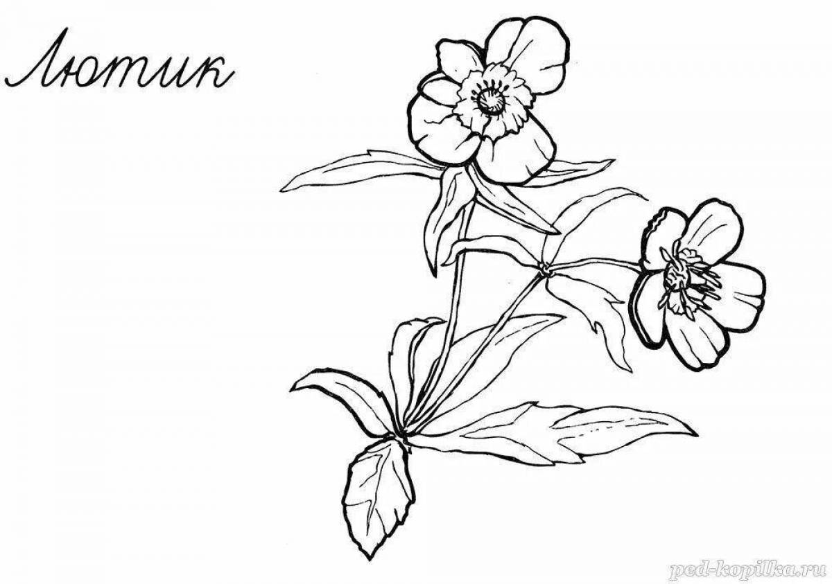 Gorgeous plant coloring pages of the red book of russia