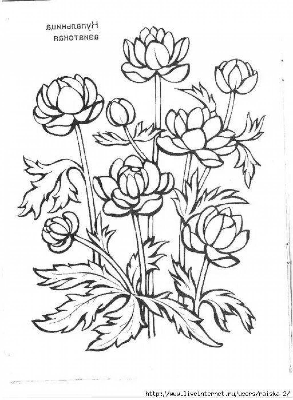 Cute coloring plants of the red book of russia