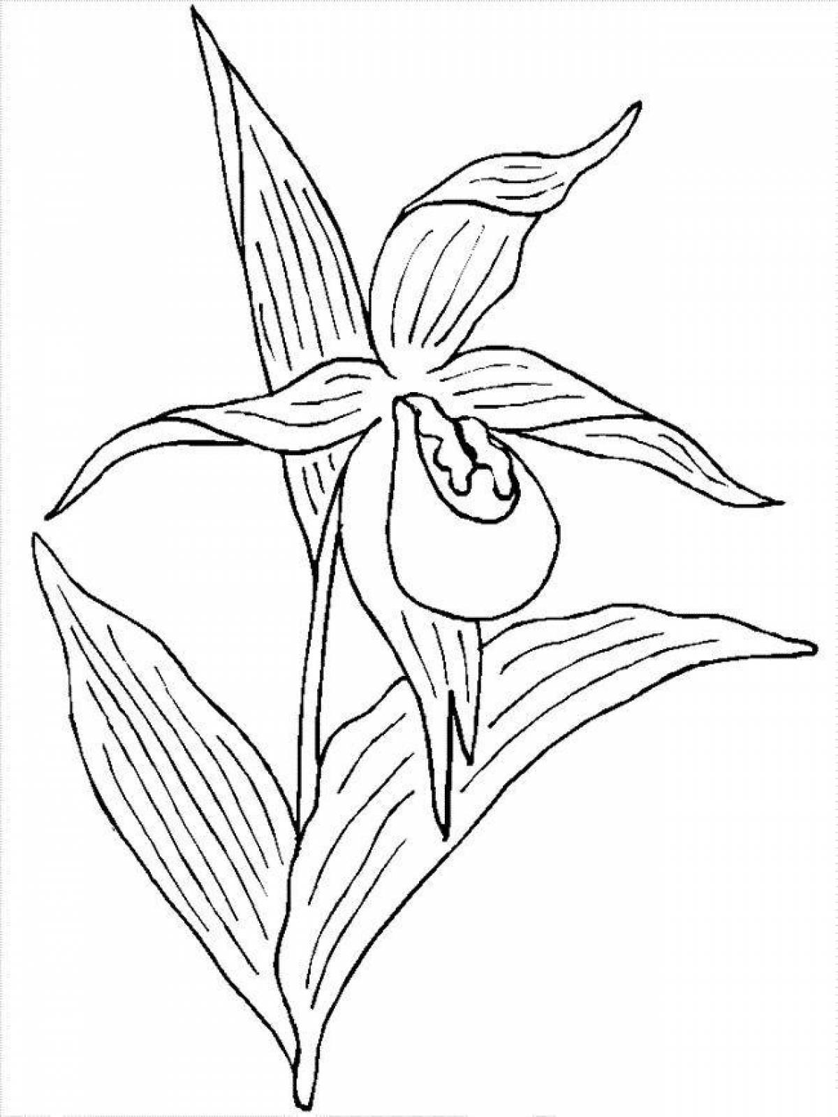 Coloring page lush plants of the red book of russia