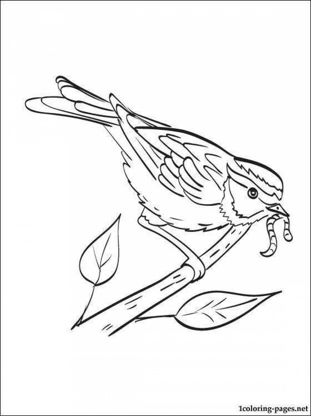 Раскраска Великолепный взлохмаченный воробей 3 класс