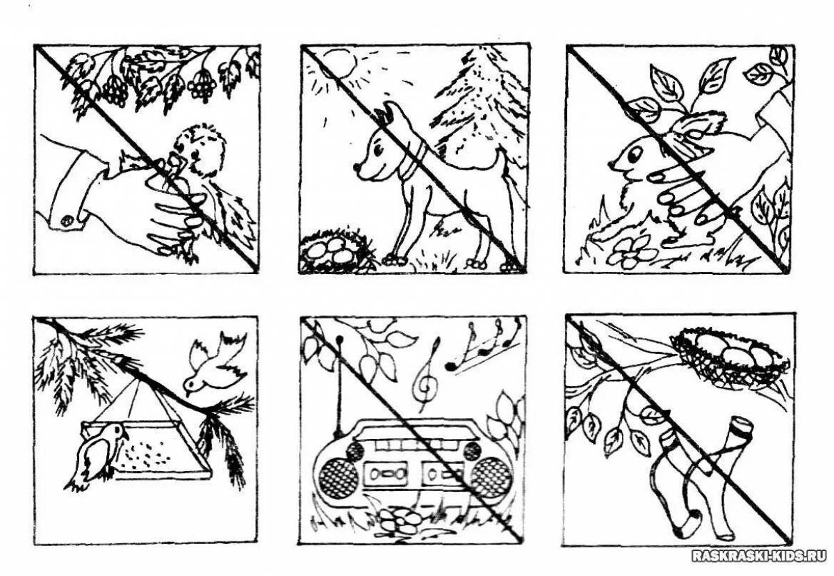 Картинки для раскрашивания правила поведения в лесу