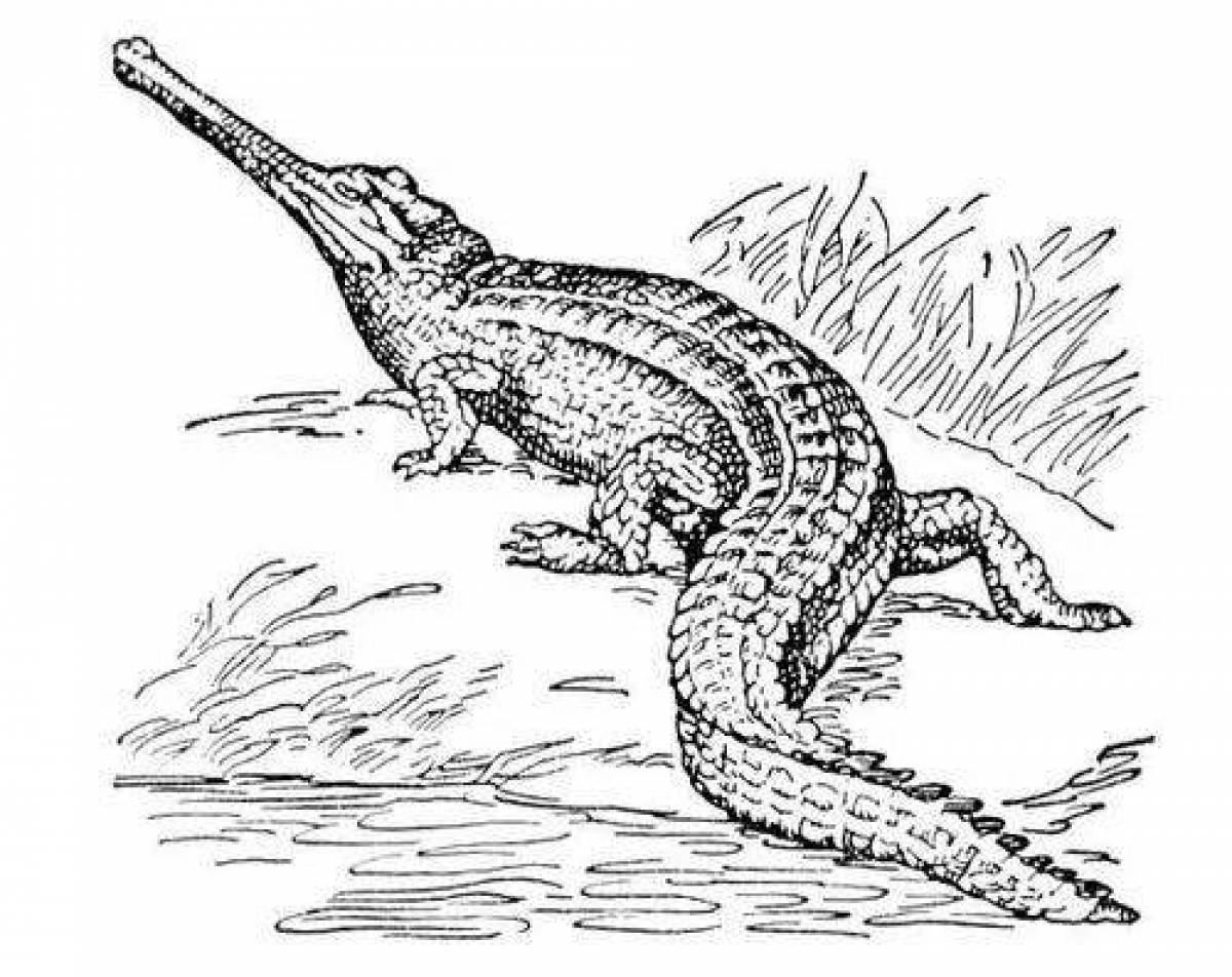 Рисуем крокодила галиала