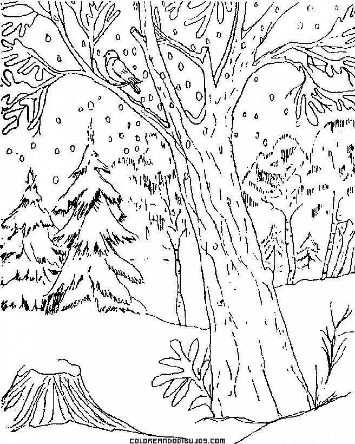 Exquisite winter nature coloring book for kids