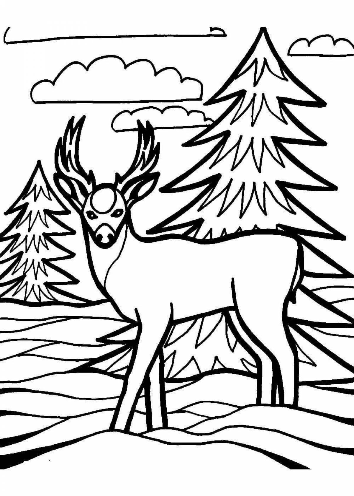 Majestic animal coloring pages in the winter forest