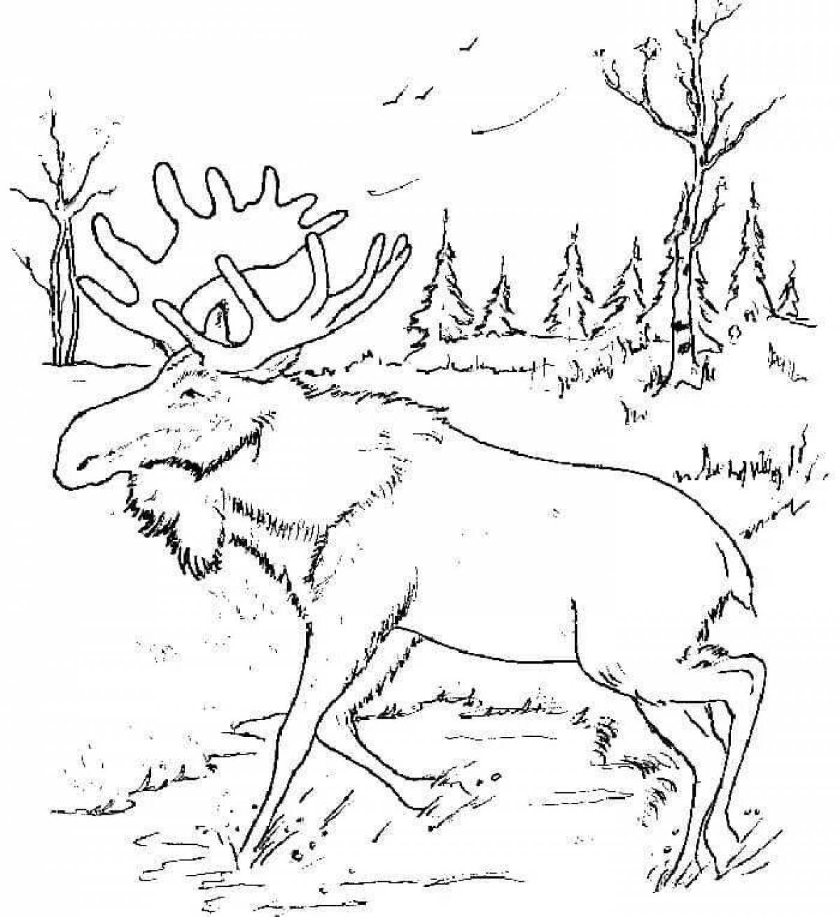 Fancy coloring animals in the winter forest