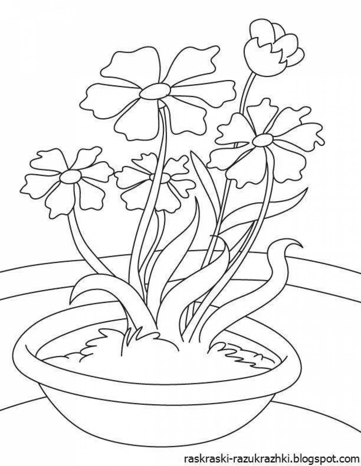 Relaxing coloring senior group indoor plants