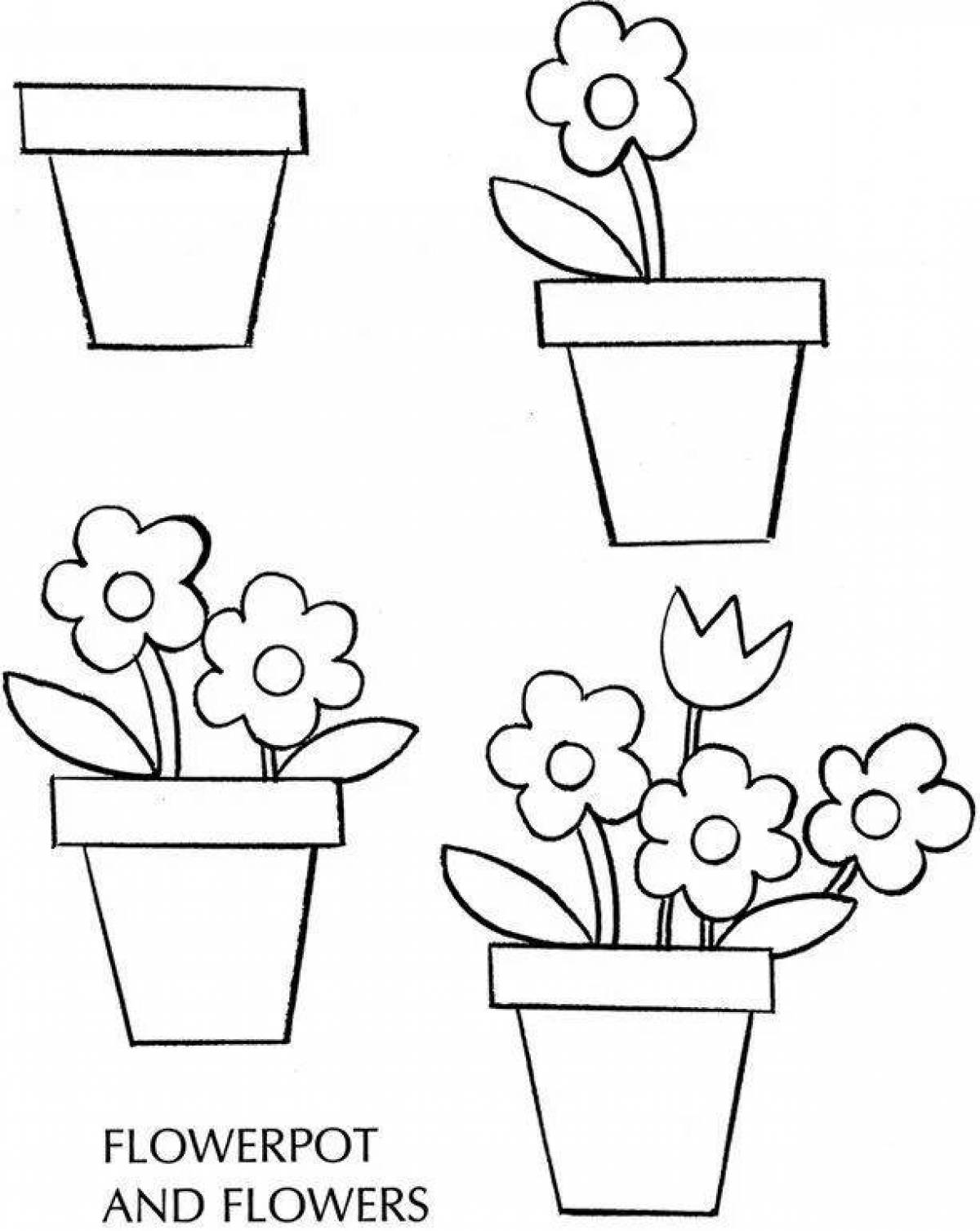 Пригласительная раскраска старшая группа комнатные растения