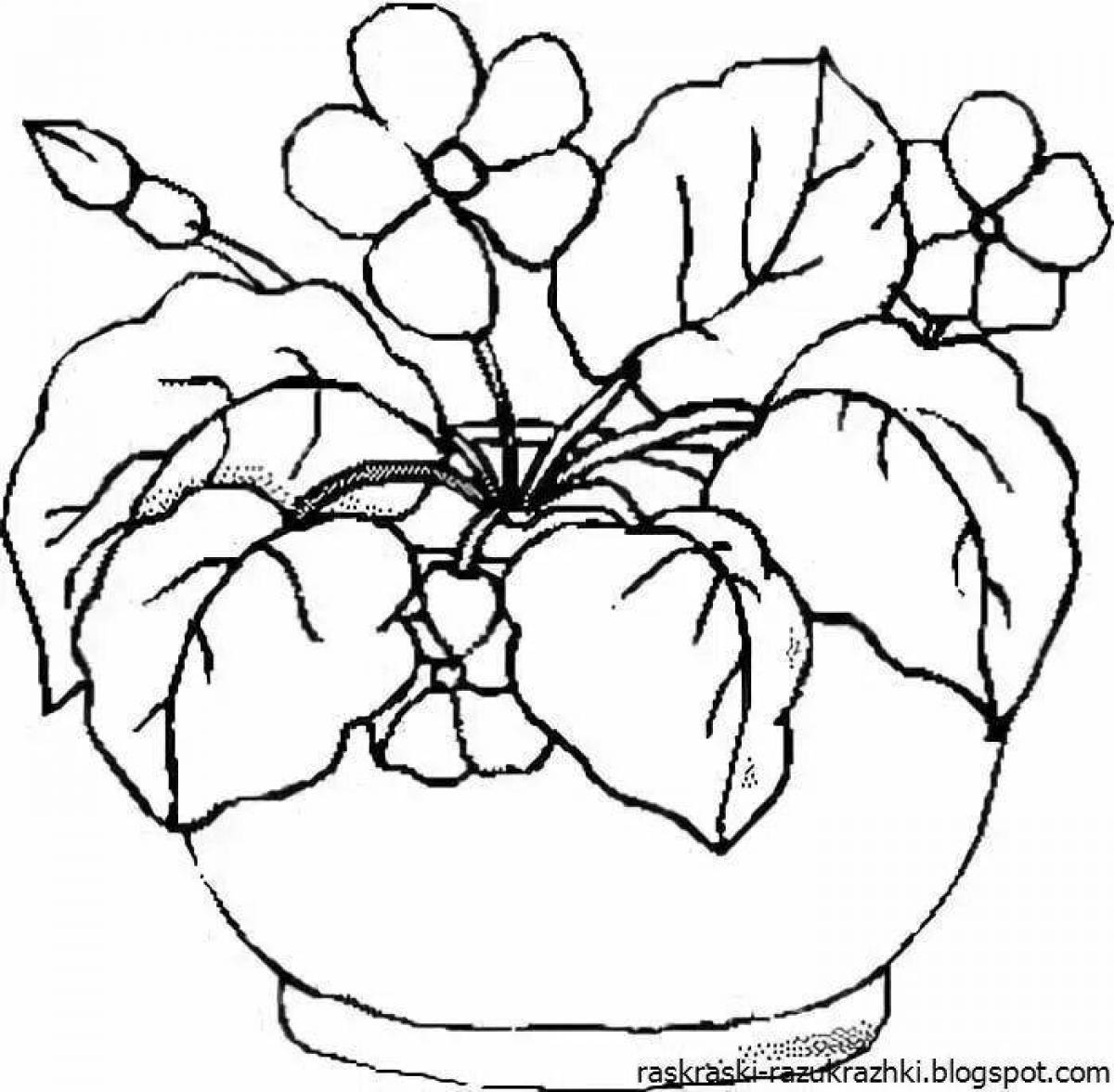 Greeting coloring page senior group houseplants