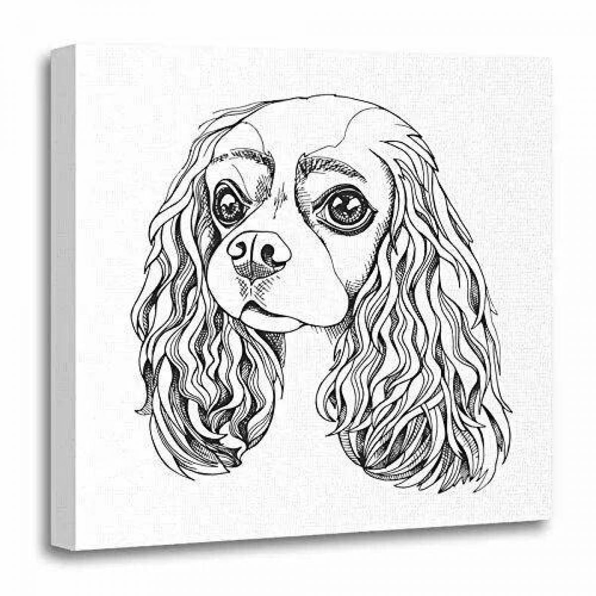 Cute coloring page spaniel cavalier king charles