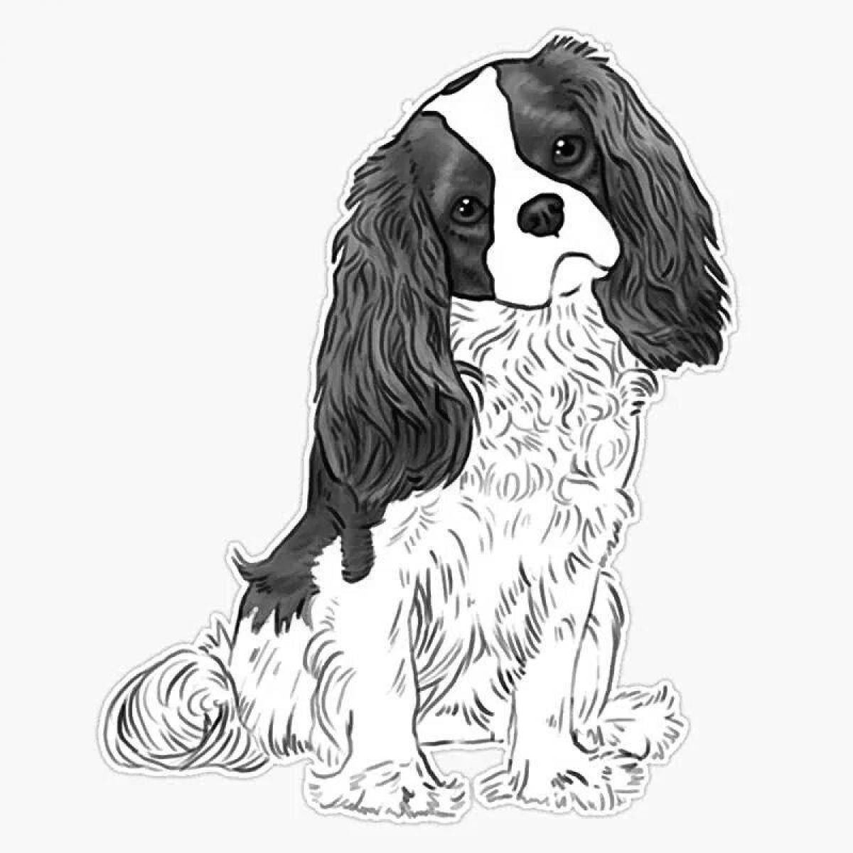 Joyful coloring page spaniel cavalier king charles