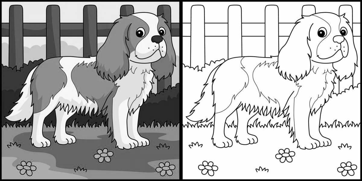 Coloring page spaniel cavalier king charles